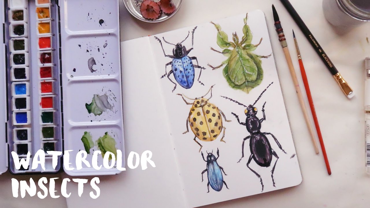 1280x720 Watercolor Insects Aquaril 1 - Watercolor Insects