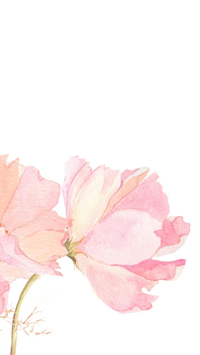 700x1243 Pink Watercolour Floral Flowers Iphone Phone Wallpaper Background - Watercolor Iphone Wallpaper