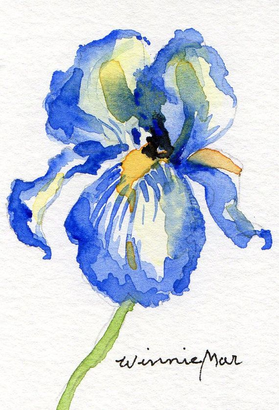 570x836 Blue Iris Aceo Small Original Watercolor On Heavy Watercolor Paper - Watercolor Iris Tattoo