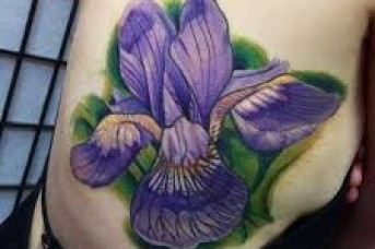 343x228 Iris Flower Tattoo Shoulder - Watercolor Iris Tattoo