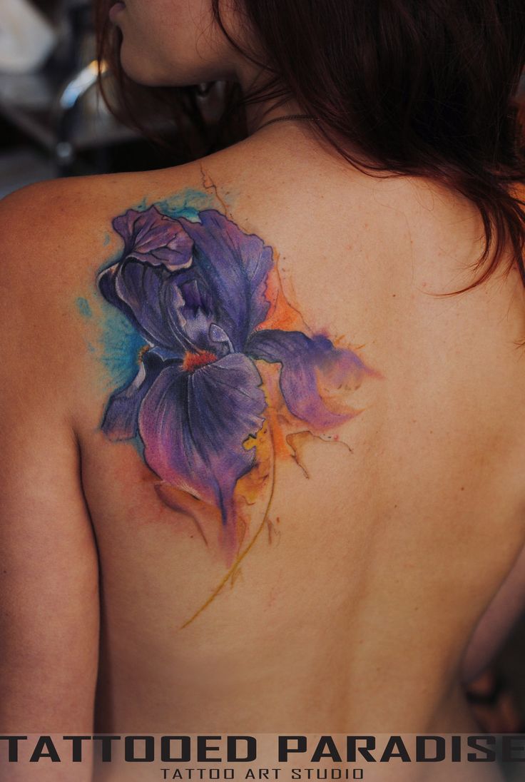 736x1096 Watercolor Iris Flower Tattoo On Girl Left Back Shoulder - Watercolor Iris Tattoo