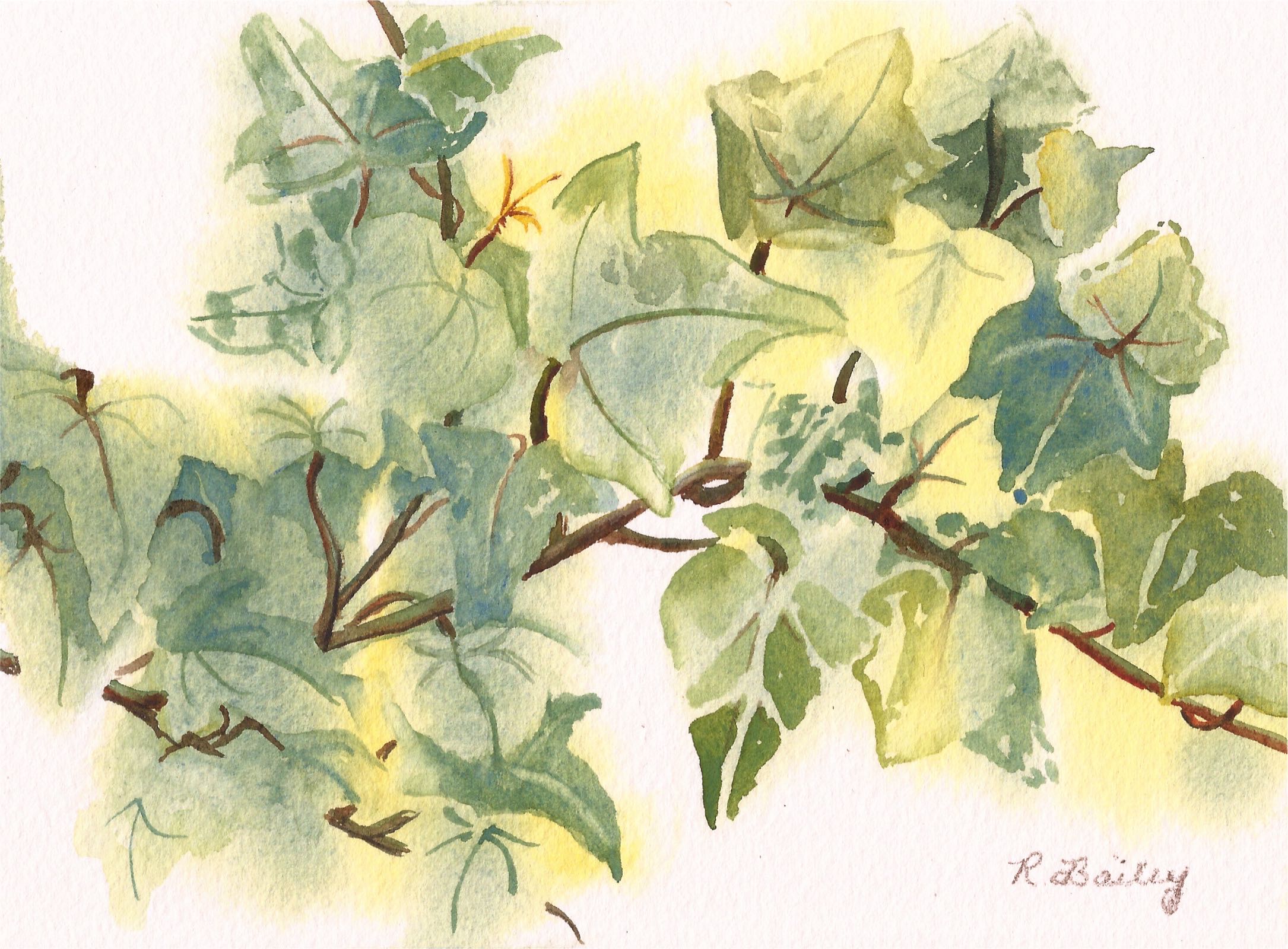 2170x1600 A Sprig Of Ivy Ruth Bailey, Artist - Watercolor Ivy