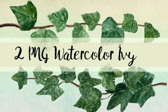 580x387 Watercolor Ivy Clip Art - Watercolor Ivy
