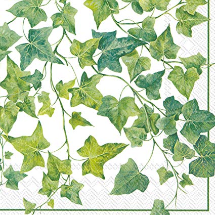425x425 Celebrate The Home Watercolor 3 Ply Paper Luncheon - Watercolor Ivy