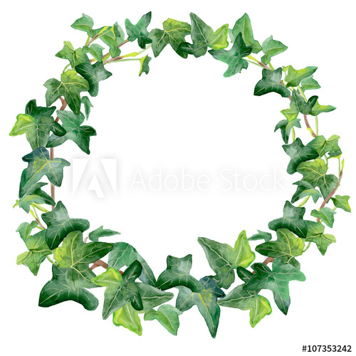 500x500 Watercolor Drawing Of Green Ivy Wreath Isolated On White - Watercolor Ivy