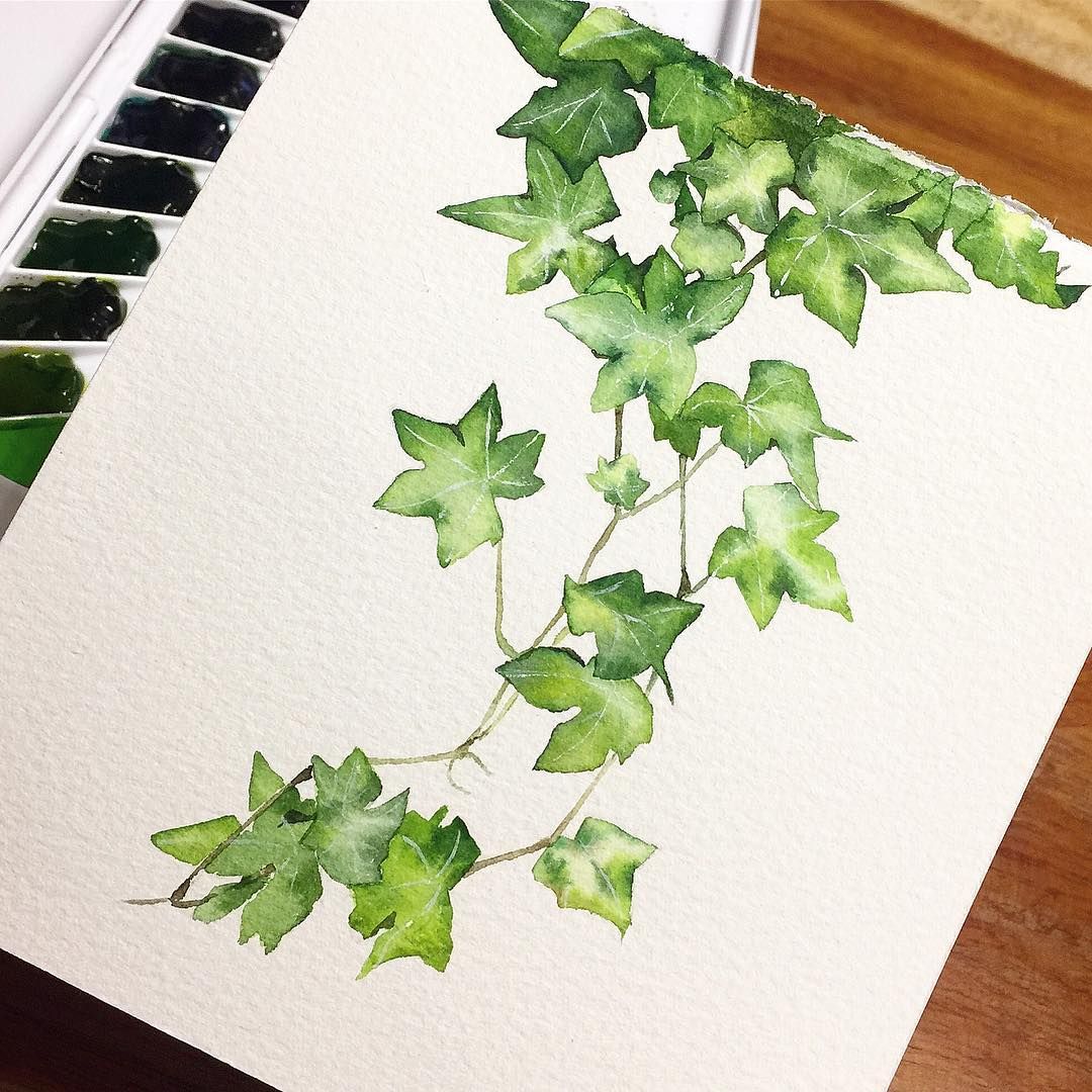 1080x1080 - Watercolor Ivy