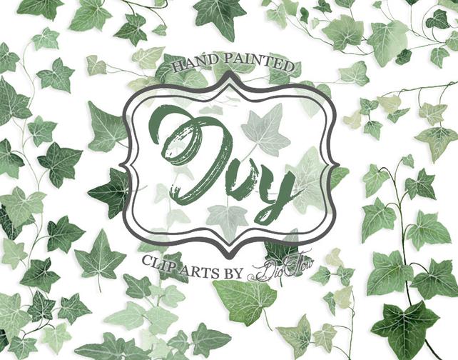 642x504 Greenery Ivy Clipart Watercolor Clip Art Vines Leaf Woodland Etsy - Watercolor Ivy