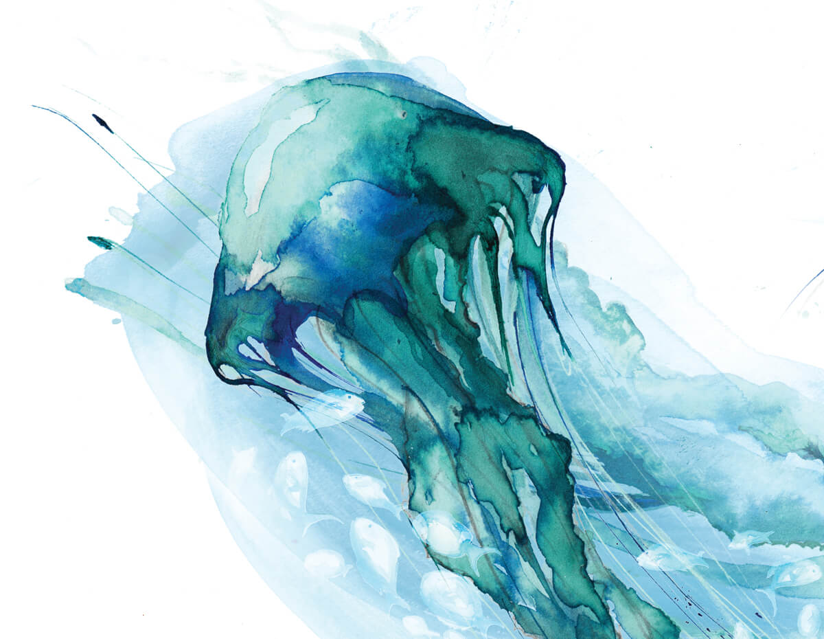 1200x930 Jellyfish Illustration Print - Watercolor Jellyfish