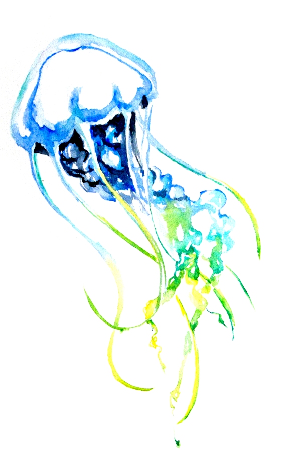 594x900 Jellyfish Watercolor Painting - Watercolor Jellyfish