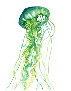236x300 321 Best Jellyfish Images In 2018 Watercolor - Watercolor Jellyfish