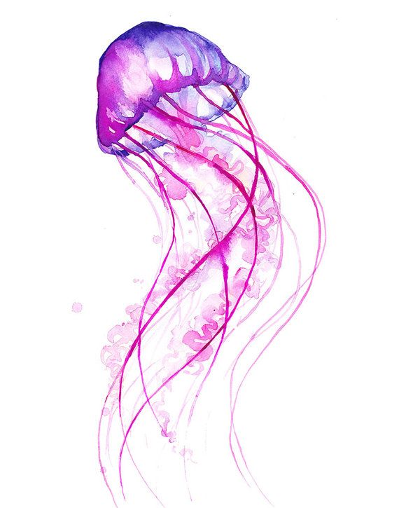 570x725 Pink Jellyfish Watercolor Print - Watercolor Jellyfish