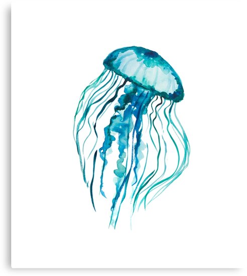 492x550 Watercolor Jellyfish Canvas Prints By Ilze Lucero Redbubble - Watercolor Jellyfish