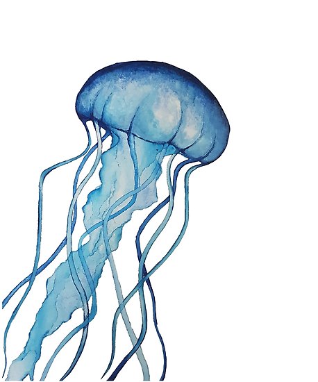 458x550 Watercolor Jellyfish Posters By Megan Grant Redbubble - Watercolor Jellyfish