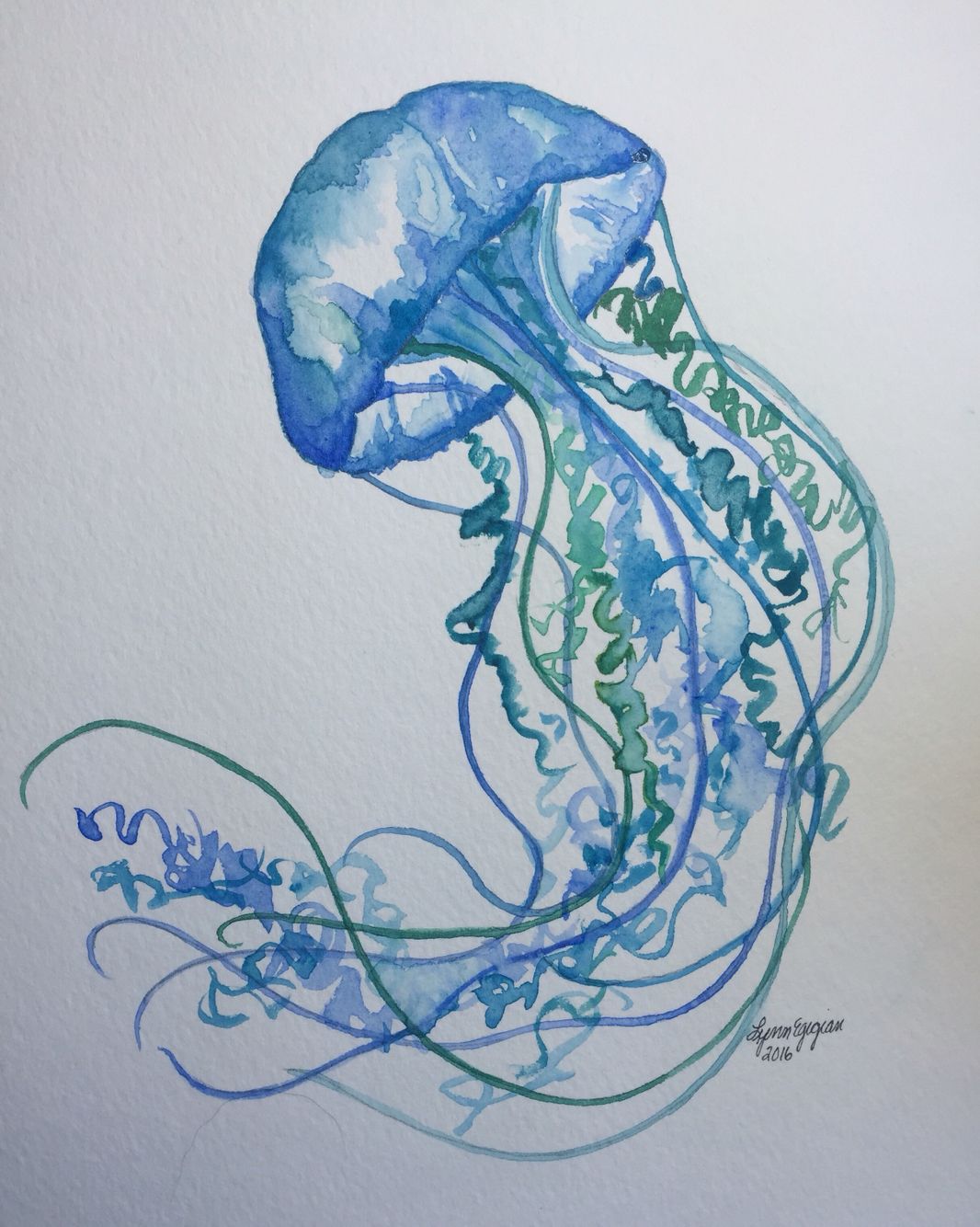 1066x1334 Watercolor Jellyfish By Lynn Egigian Sea Life - Watercolor Jellyfish