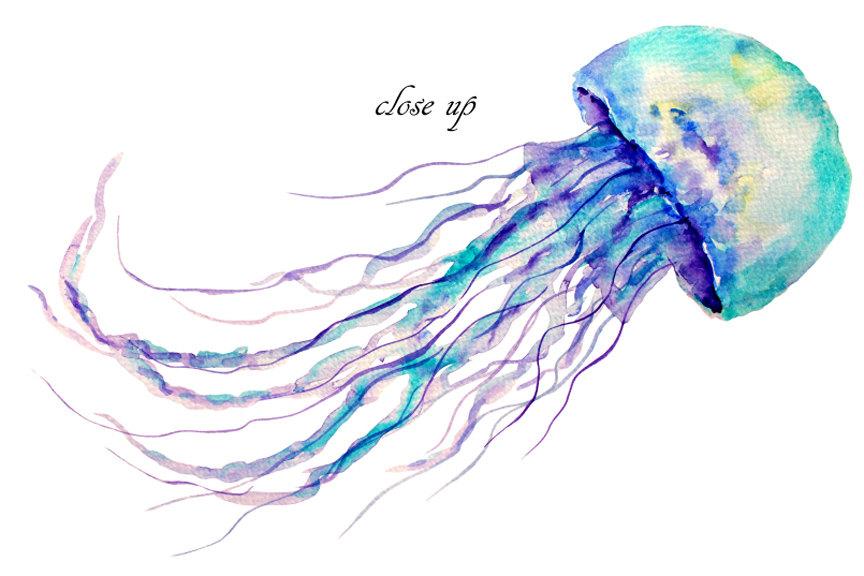 864x576 Watercolour Clipart Jellyfish Blue, Purple And Orange Instant - Watercolor Jellyfish