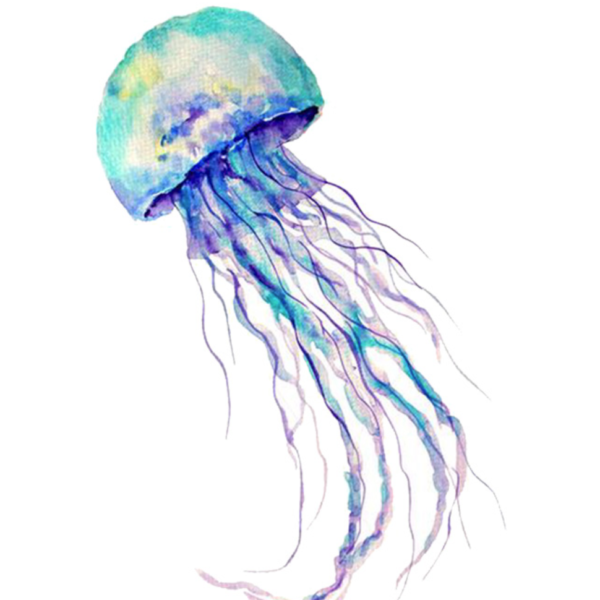 600x600 Watercolor Jellyfish Tattoo Archives - Watercolor Jellyfish