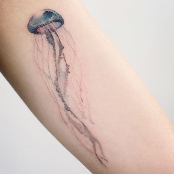 600x600 50 Jellyfish Tattoo Ideas Tattoo Ideas - Watercolor Jellyfish Tattoo