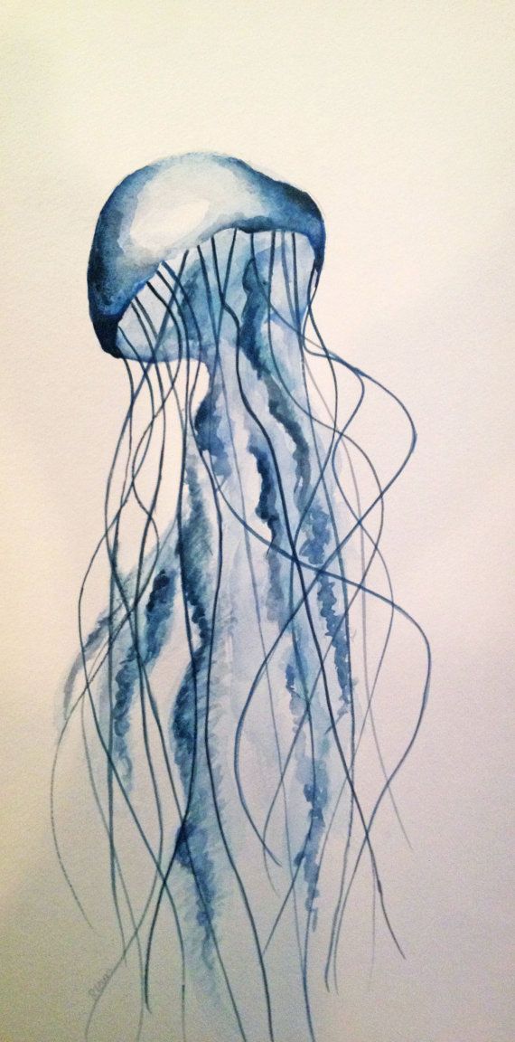 570x1152 Made To Order Jellyfish Watercolor Painting, Original By W - Watercolor Jellyfish Tattoo
