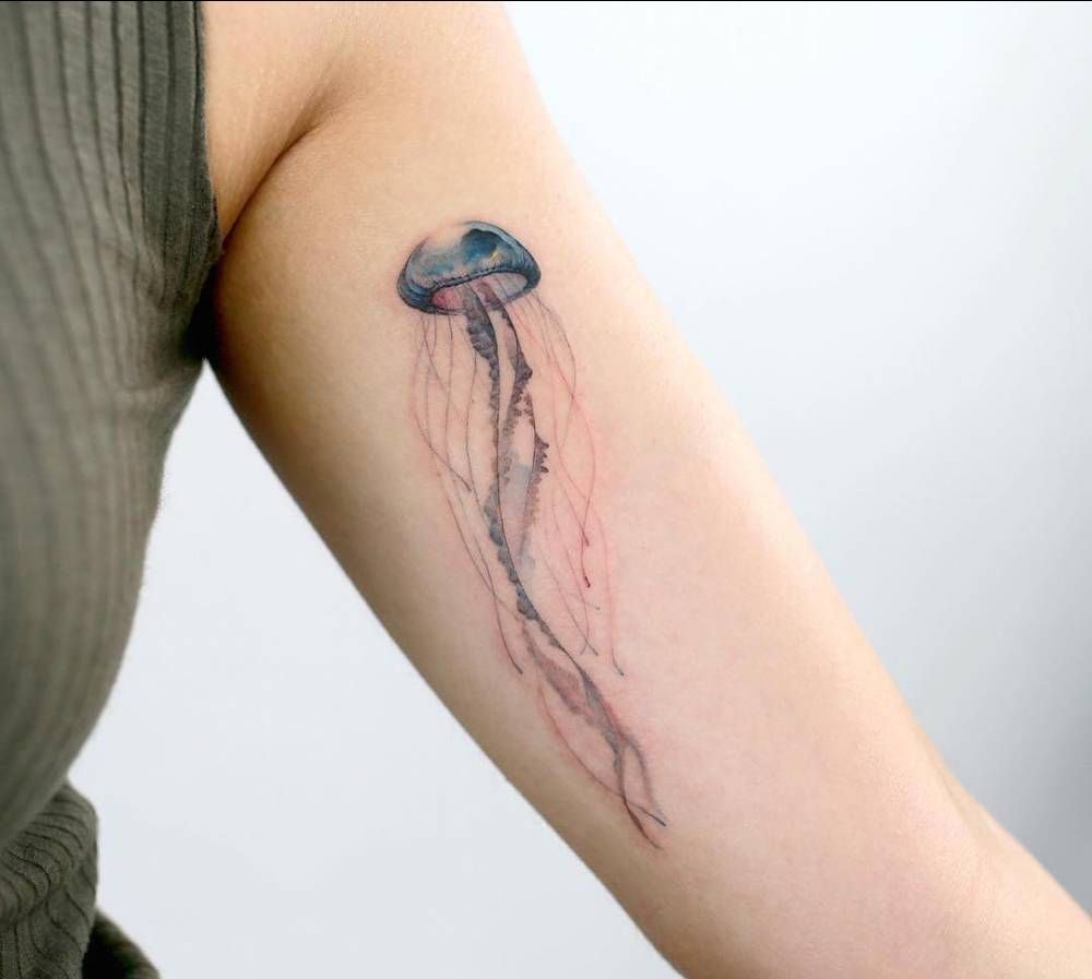 1000x897 Watercolor Jellyfish Tattoo On The Left Inner Arm. Tatuajes - Watercolor Jellyfish Tattoo