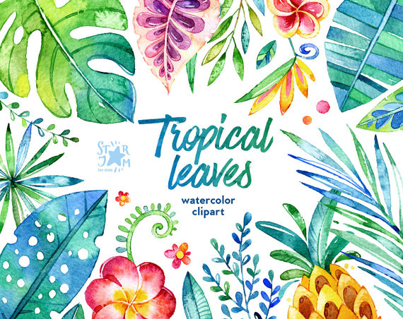 570x452 Tropical Leaves. 44 Floral Elements, Watercolor Clip Art, Jungle - Watercolor Jungle