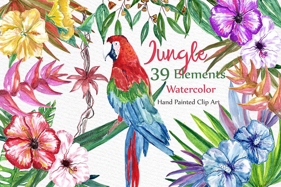 1158x772 Watercolor Jungle Clipart - Watercolor Jungle