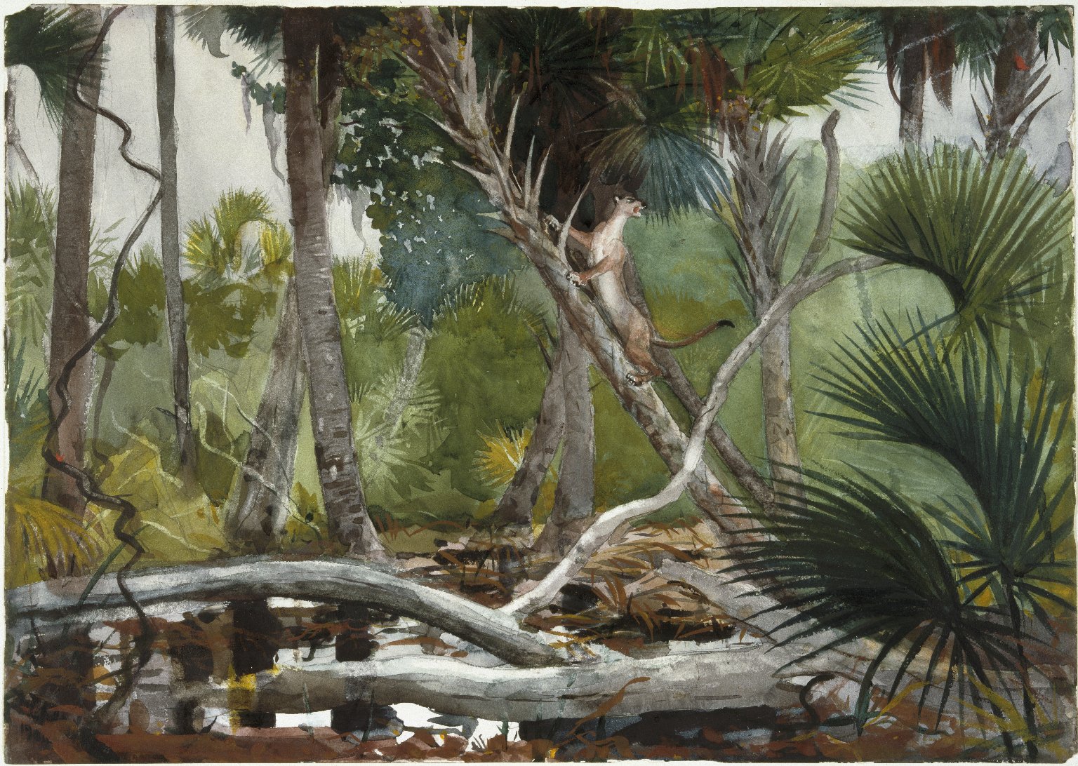1536x1092 Brooklyn Museum - Watercolor Jungle