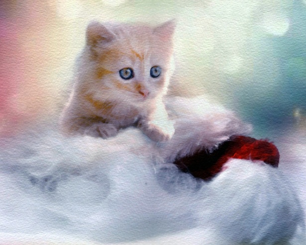 615x492 Christmas Kitten Watercolor Free Stock Photo - Watercolor Kitten