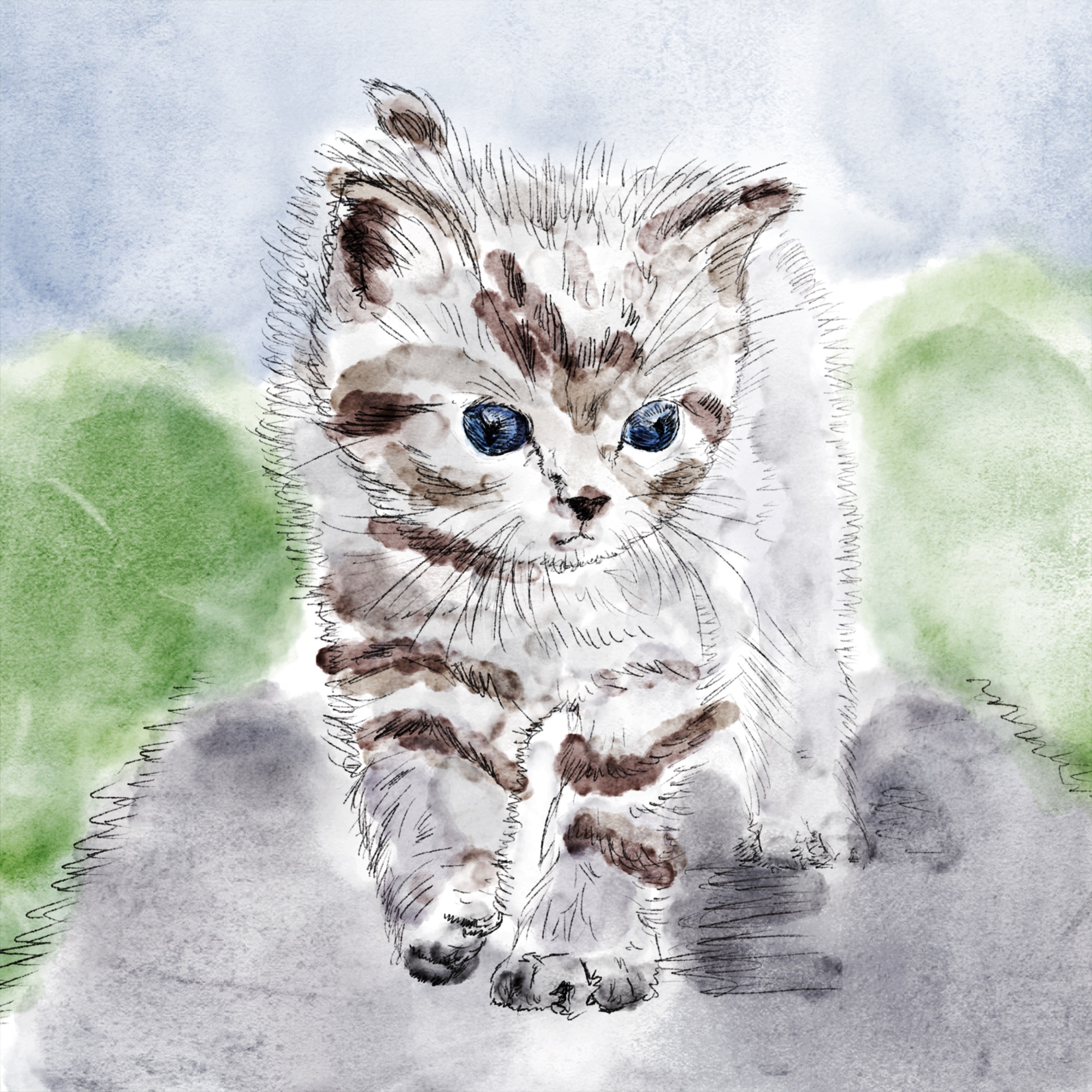 2000x2000 Free Images Kitten, Watercolor, Whiskers, Grey, Sketch, Drawing - Watercolor Kitten