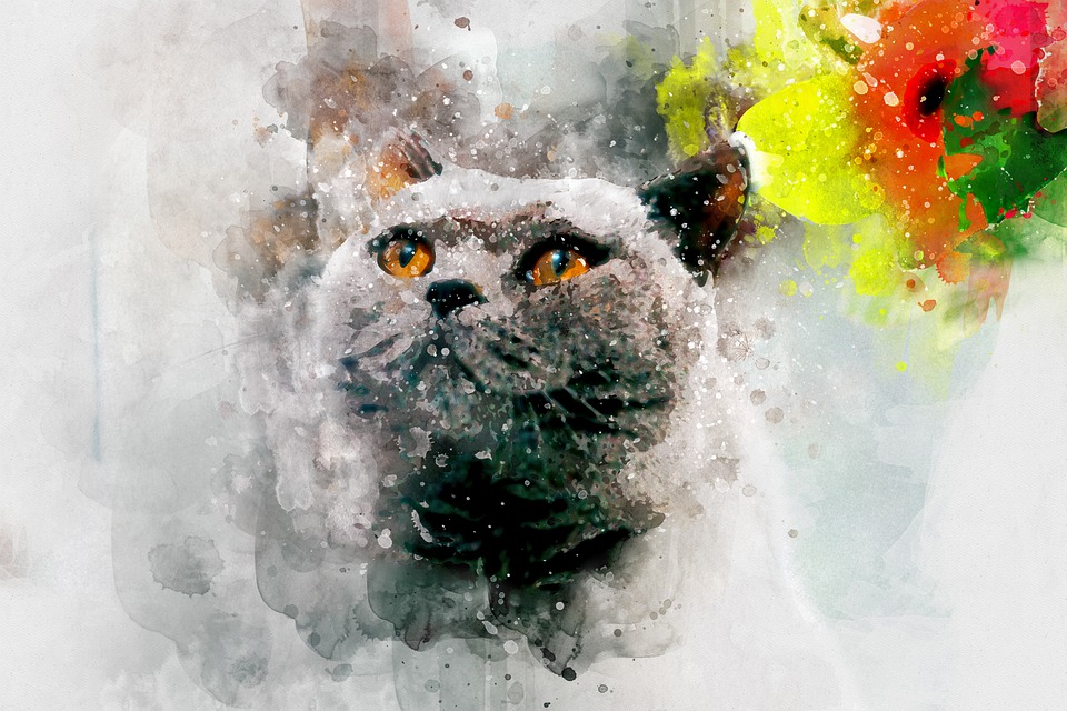 960x640 Free Photo Card Cat Cute Kitten Pet White Animal Watercolor - Watercolor Kitten