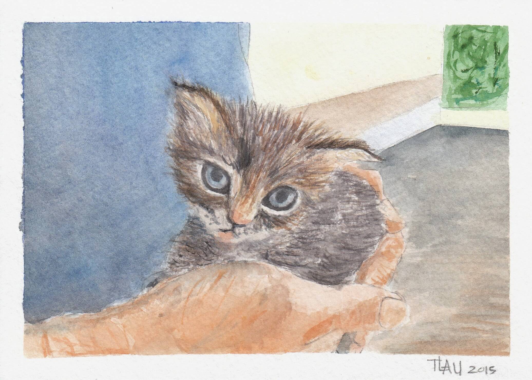 2072x1480 Oliver Kitten Artbytlau - Watercolor Kitten