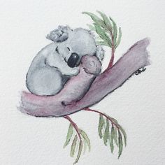 Watercolor Koala