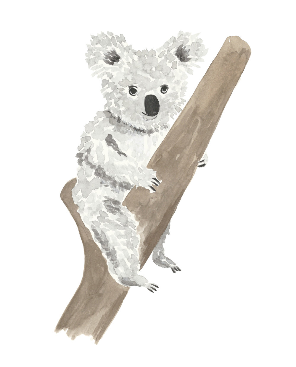 1000x1242 Koala - Watercolor Koala