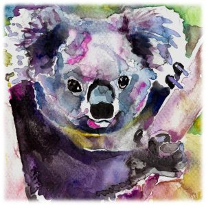 300x298 Koala Watercolor Painting Print - Watercolor Koala