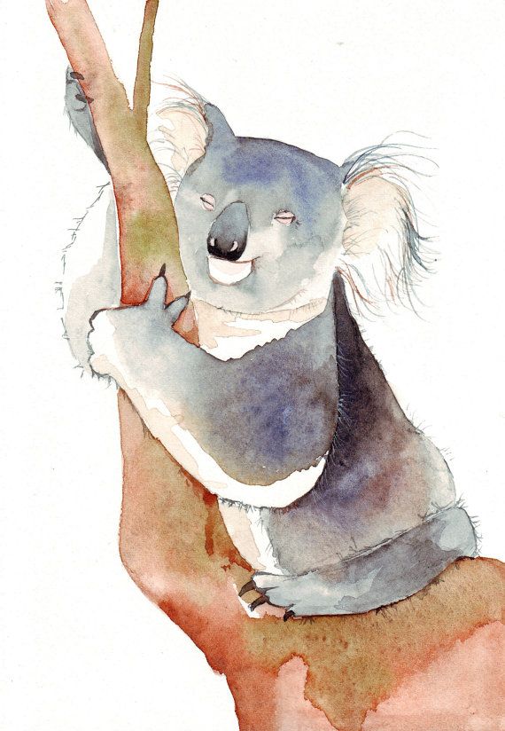 570x824 Watercolour Koala Watercolors Watercolor, Animal - Watercolor Koala