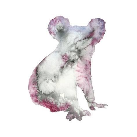 473x473 Watercolor Koala Bear Animal Illustration Hand Drawn Wildlife - Watercolor Koala