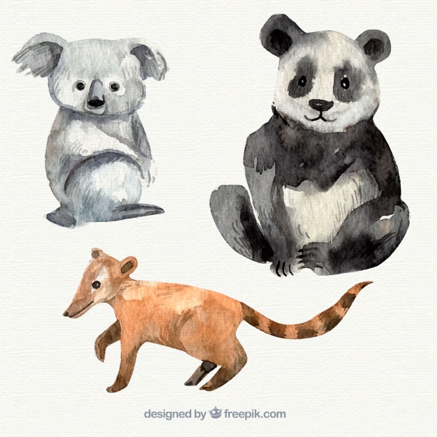 626x626 Watercolor Koala, Panda And Lemur Vector Free Download - Watercolor Koala