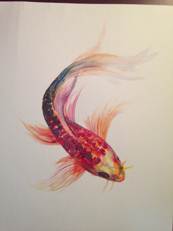 Collection Of Koi Fish Watercolor Drawing High Quality, Free - Watercolor K...