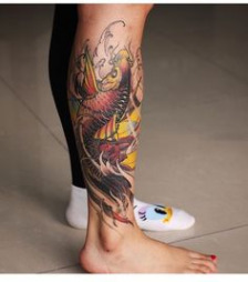 224x254 Japanese Leg Sleeve Tattoo Designs Ideas Awesome 40 Graphic - Watercolor Koi Tattoo