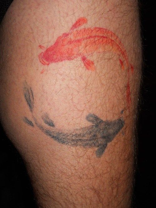 500x667 Watercolor Tattoo Design Koi Fish Yin Yang - Watercolor Koi Tattoo
