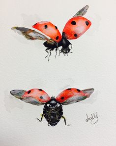 236x295 Akvarel. Prostota I Legkost Evi Ford Water Colors - Watercolor Ladybug Tattoo