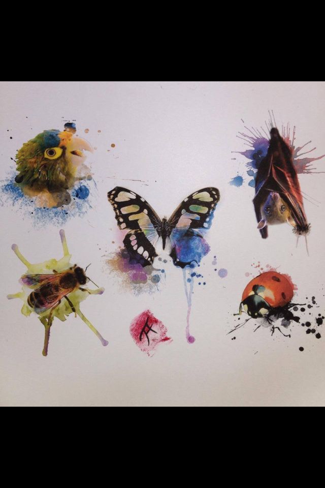 640x960 Fantastico Watercolour (I Think) By Tattoo Artist Jason Adelinia - Watercolor Ladybug Tattoo