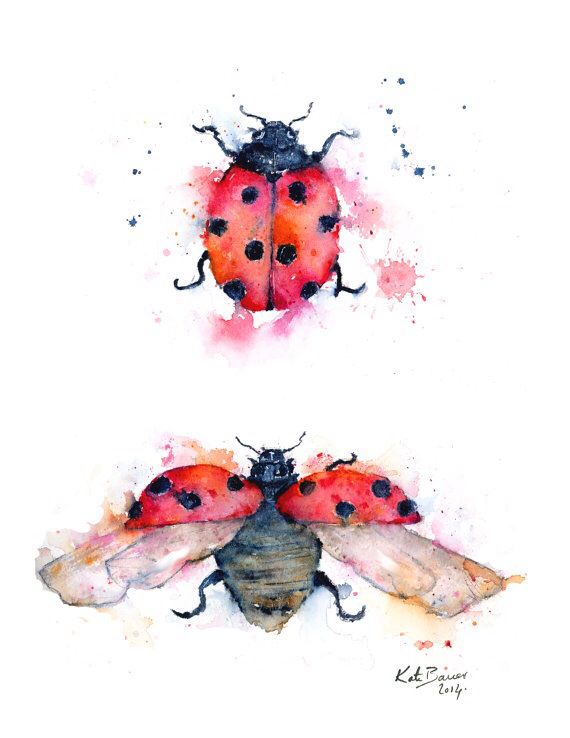 570x738 Ladybug Illustration - Watercolor Ladybug Tattoo
