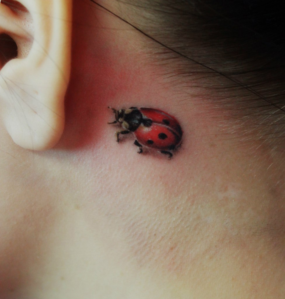 976x1024 Tiny Ladybug Behind The Ear 3d Tattoo Best Tattoo Ideas Gallery - Watercolor Ladybug Tattoo