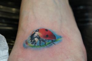 300x200 Watercolor Ladybug Tattoo Designs, Ideas And Meaning Tattoos For You - Watercolor Ladybug Tattoo