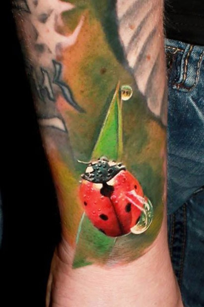 800x1204 Watercolor Colorful Ladybug Tattoo Tattoos Book - Watercolor Ladybug Tattoo