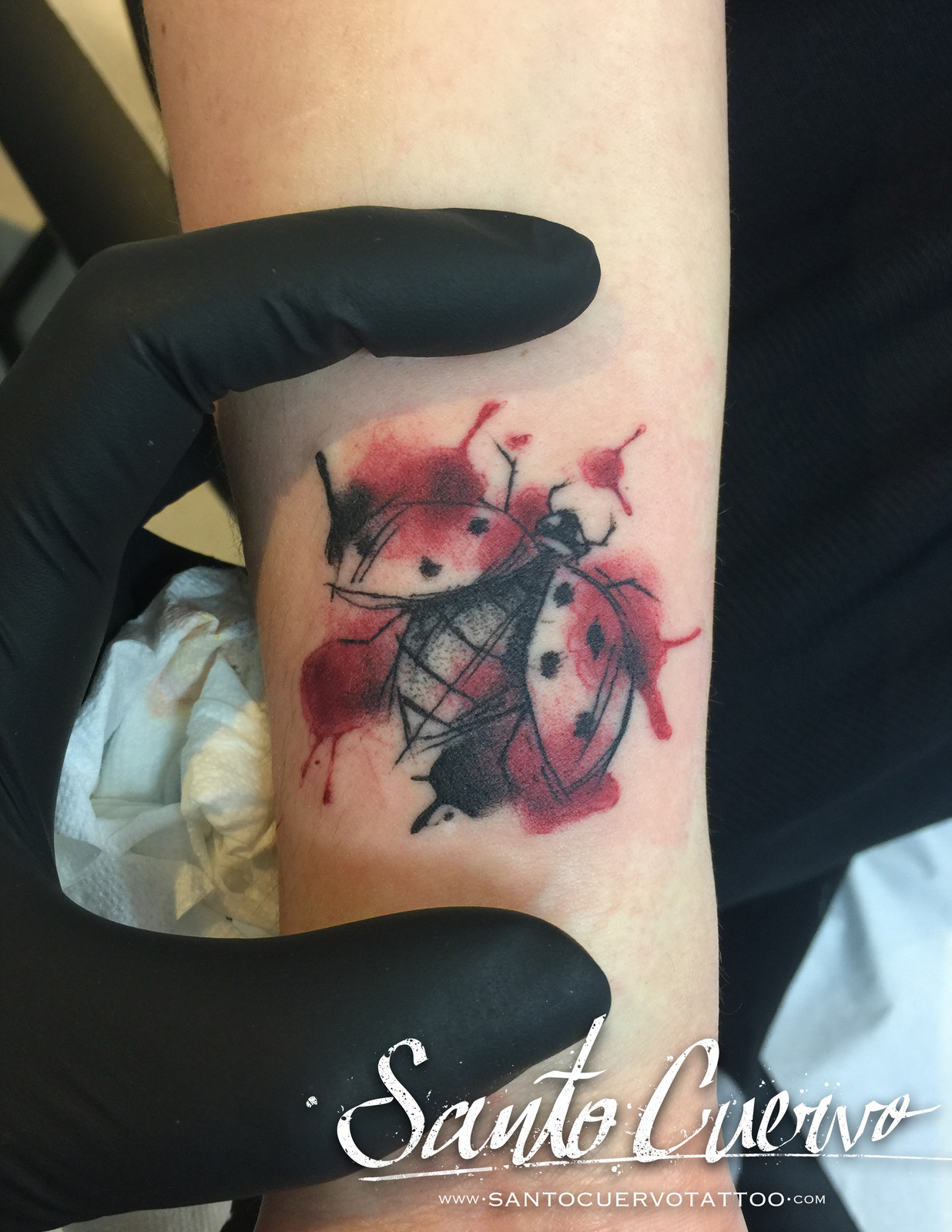 1236x1600 Ladybug - Watercolor Ladybug Tattoo