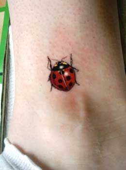 260x350 3d Ladybug Watercolour - Watercolor Ladybug Tattoo