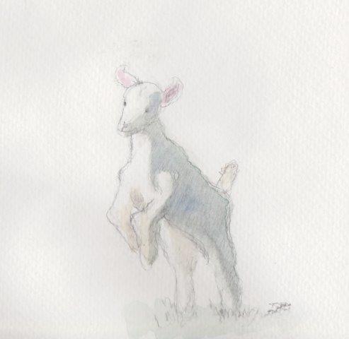 493x480 2014 02 18 Watercolor Lamb Expanding Circle - Watercolor Lamb