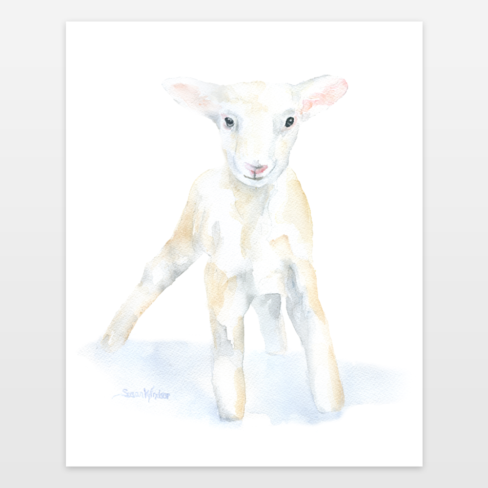 Watercolor Lamb at PaintingValley.com | Explore collection of ...