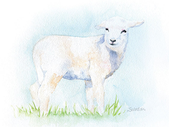570x427 Lamb Watercolor Painting - Watercolor Lamb